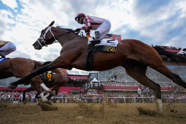 Umberto Rispoli, atop Journalism, participates in the 150th running of the Preakness Stakes horse race Saturday, May 17, 2025, at Pimlico Race Course in Baltimore. (AP Photo/Stephanie Scarbrough)