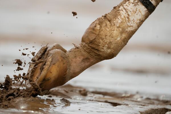 A horse trots in the muddy track at Churchill Downs before the 151st running of the Kentucky Derby horse race Saturday, May 3, 2025, in Louisville, Ky. (AP Photo/Brynn Anderson)