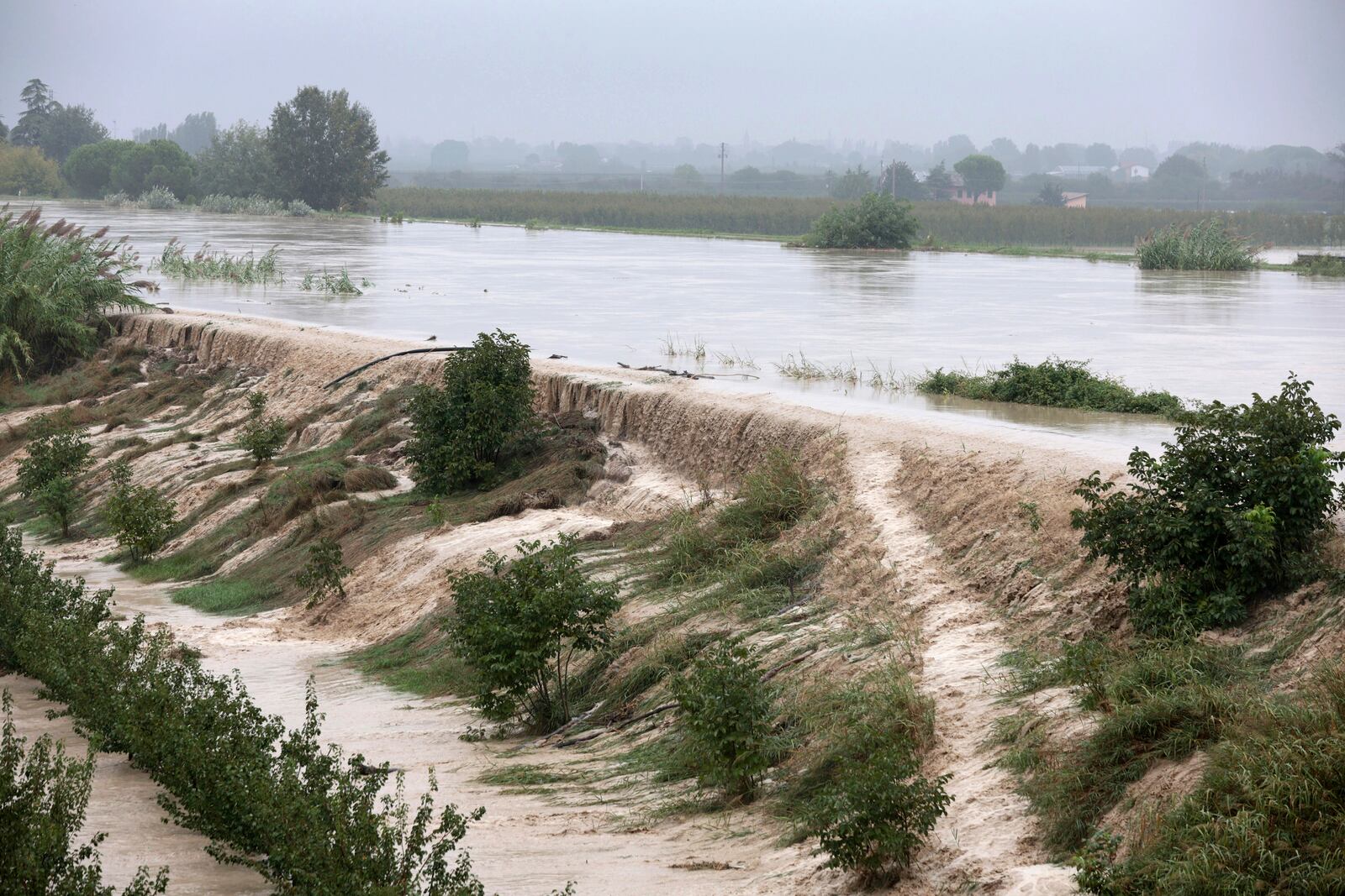 The Lamone river overflows its banks near Bagnacavallo, in the region of Emilia-Romagna, Italy, Thursday, Sept. 19, 2024. (Fabrizio Zani/LaPresse via AP)