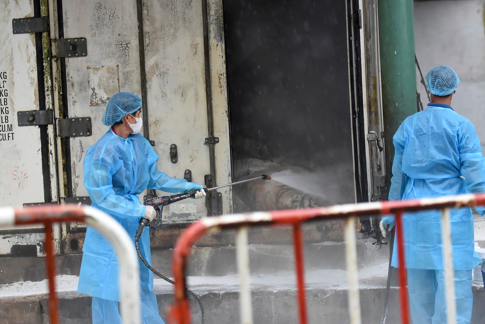 Animal health workers spray disinfectant on tigers that died of bird flu at Dong Xoai zoo in Bien Hoa city, Vietnam on Thursday, Oct. 3, 2024. (Phuoc Tuan/VNExpress via AP)