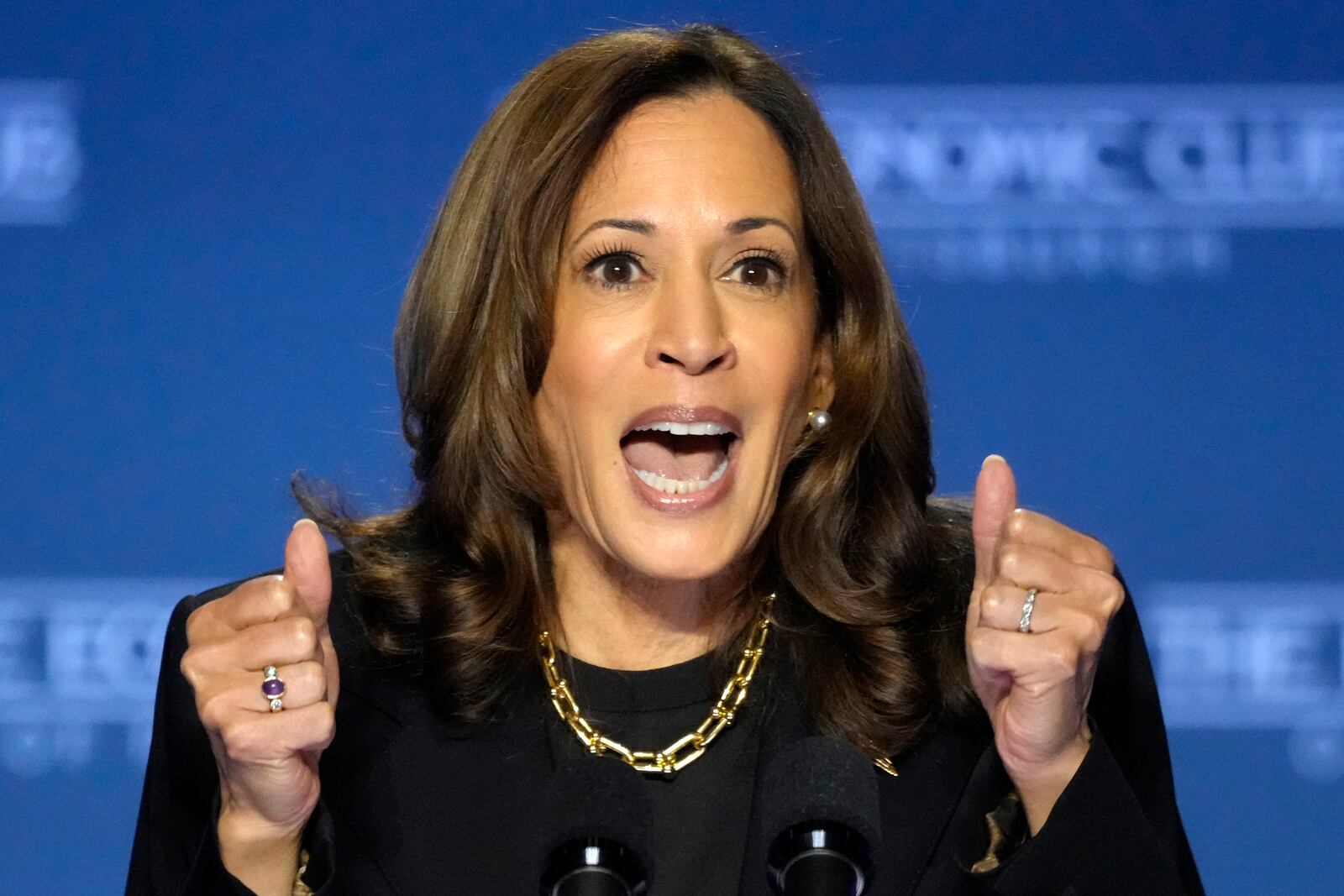 Democratic presidential nominee Vice President Kamala Harris addresses the Economic Club of Pittsburgh on the Carnegie Mellon University campus in Pittsburgh, Wednesday, Sept. 25, 2024. (AP Photo/Gene J. Puskar)