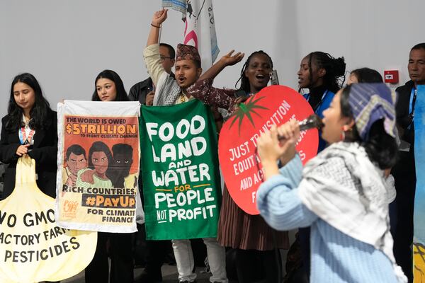 Activists participate in a demonstration for transforming food systems at the COP29 U.N. Climate Summit, Tuesday, Nov. 19, 2024, in Baku, Azerbaijan. (AP Photo/Rafiq Maqbool)