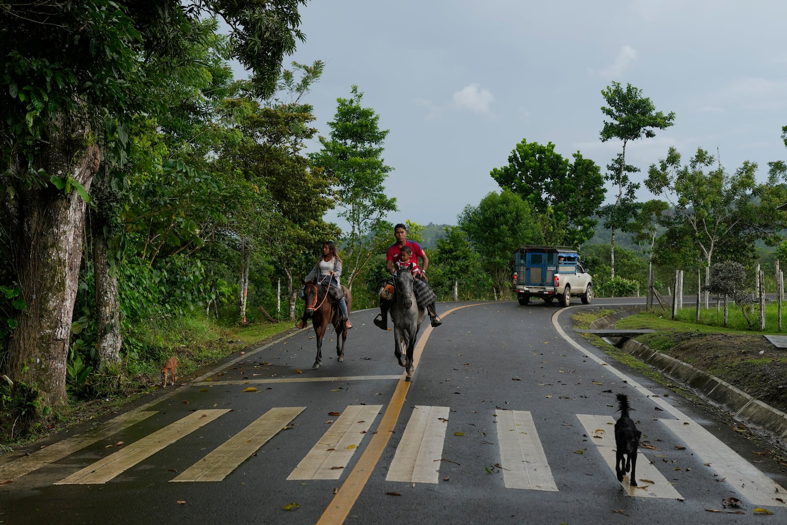 Locals ride horses in the village of Limon, which would be submerged in a proposed plan to dam the nearby Indio River to secure the Panama Canal’s uninterrupted operation, in Panama, Saturday, Aug. 31, 2024. (AP Photo/Matias Delacroix)