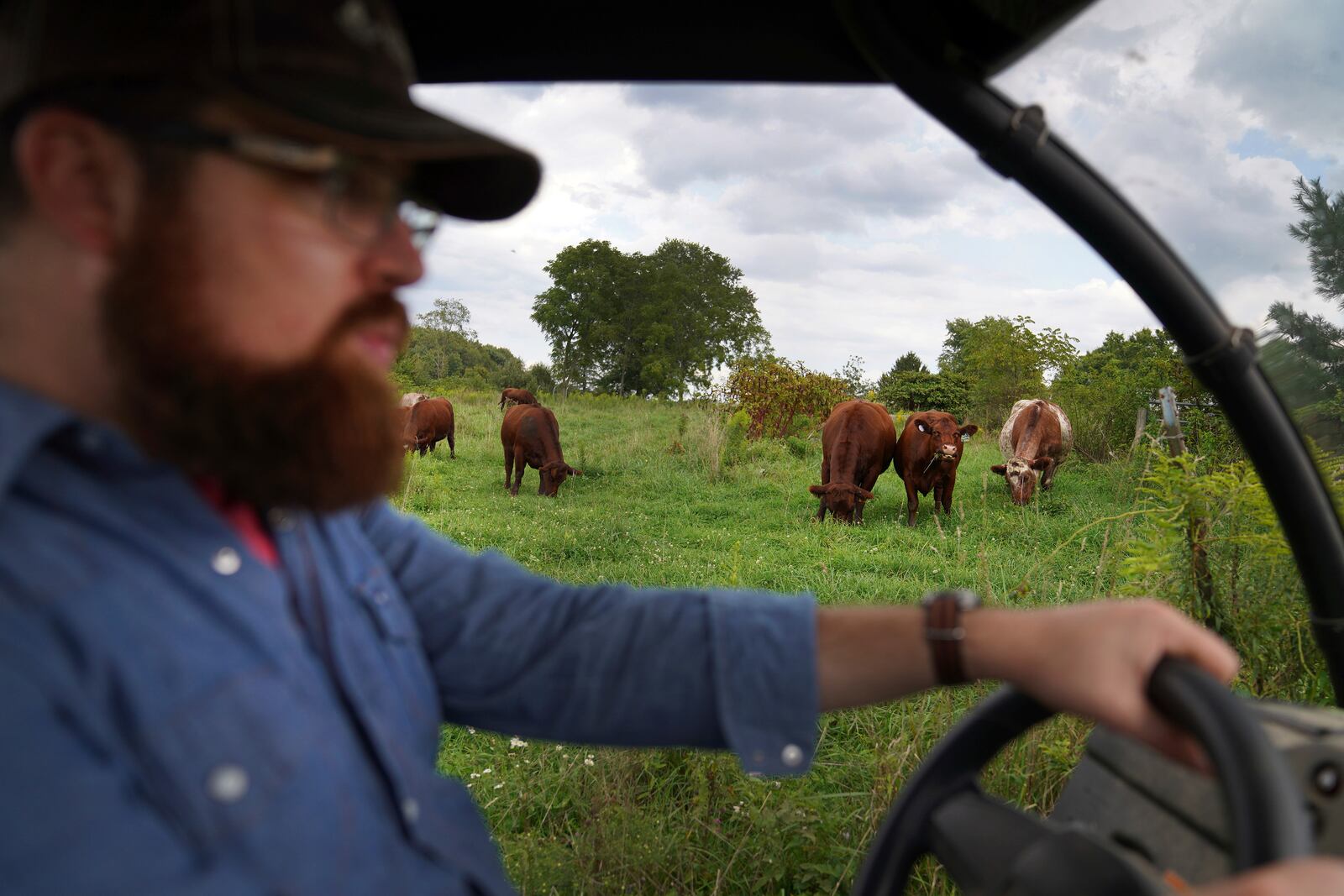 Presbyterian pastor Lee Scott drives through the pastures of his family farm in Butler, Pa., on Friday, Sept. 6, 2024. (AP Photo/Jessie Wardarski)