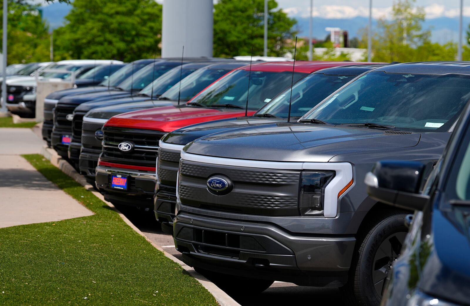 FILE - 2024 F150 and Lightning electric pickup trucks sit at a Ford dealership on May 19, 2024, in Denver. (AP Photo/David Zalubowski, File)