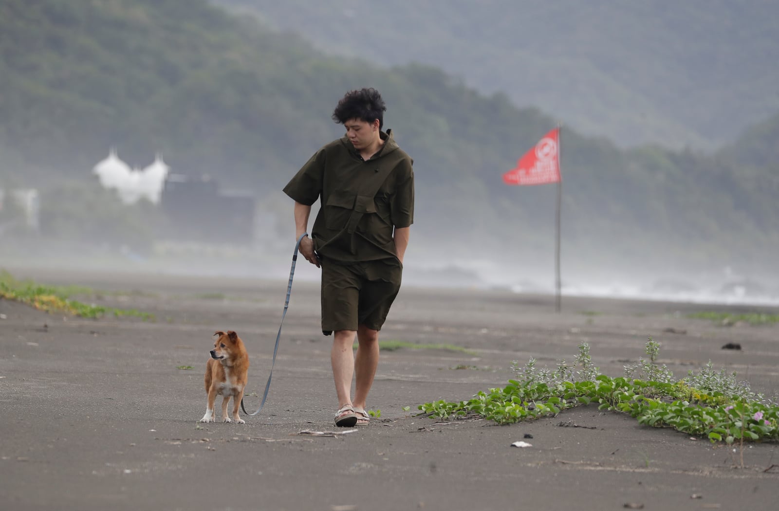 A man walks his dog on a beach as Typhoon Krathon approaches to Taiwan in Yilan County, eastern coast of Taiwan, Tuesday, Oct. 1, 2024. (AP Photo/Chiang Ying-ying)