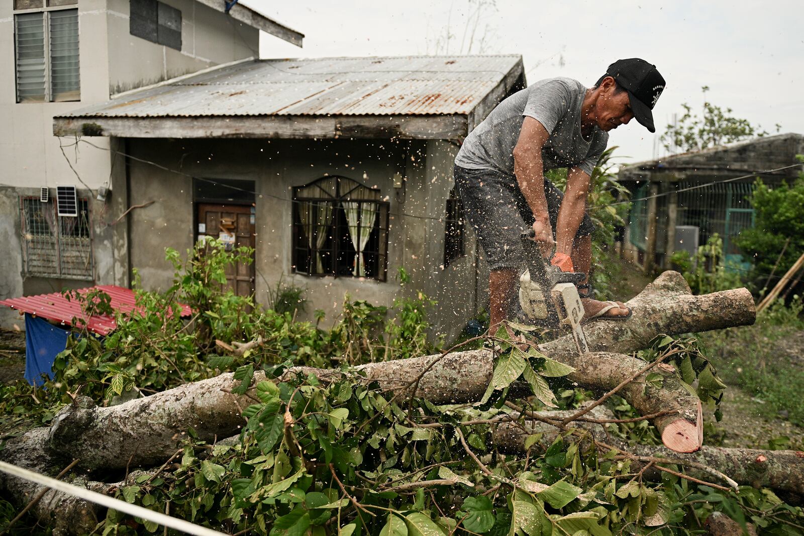 A man tries to clear a tree in front of his house after it was toppled by strong winds from Typhoon Yinxing, locally called Marce, in Gattaran, Cagayan province, northern Philippines on Friday, Nov. 8, 2024. (AP Photo/Noel Celis)