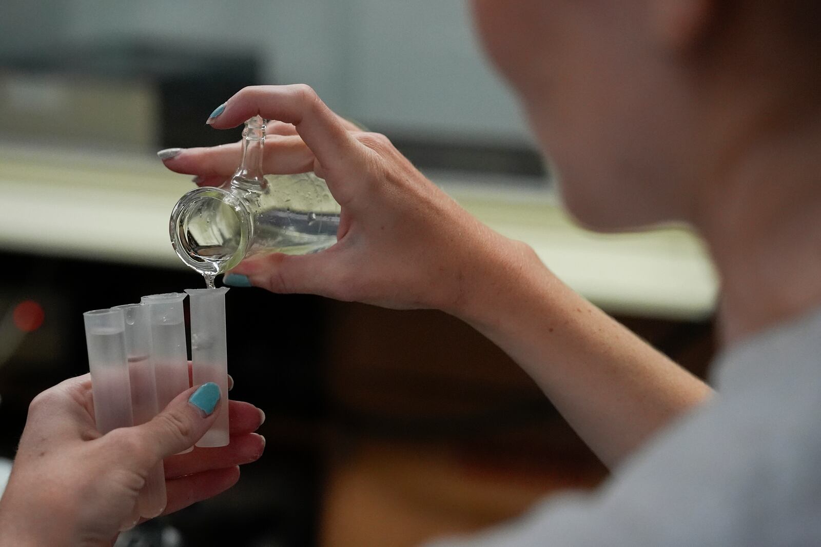 Emily Clark separates recently collected water samples for research, Monday, Aug. 26, 2024, at the National Center for Water Quality Research in Tiffin, Ohio. (AP Photo/Joshua A. Bickel)