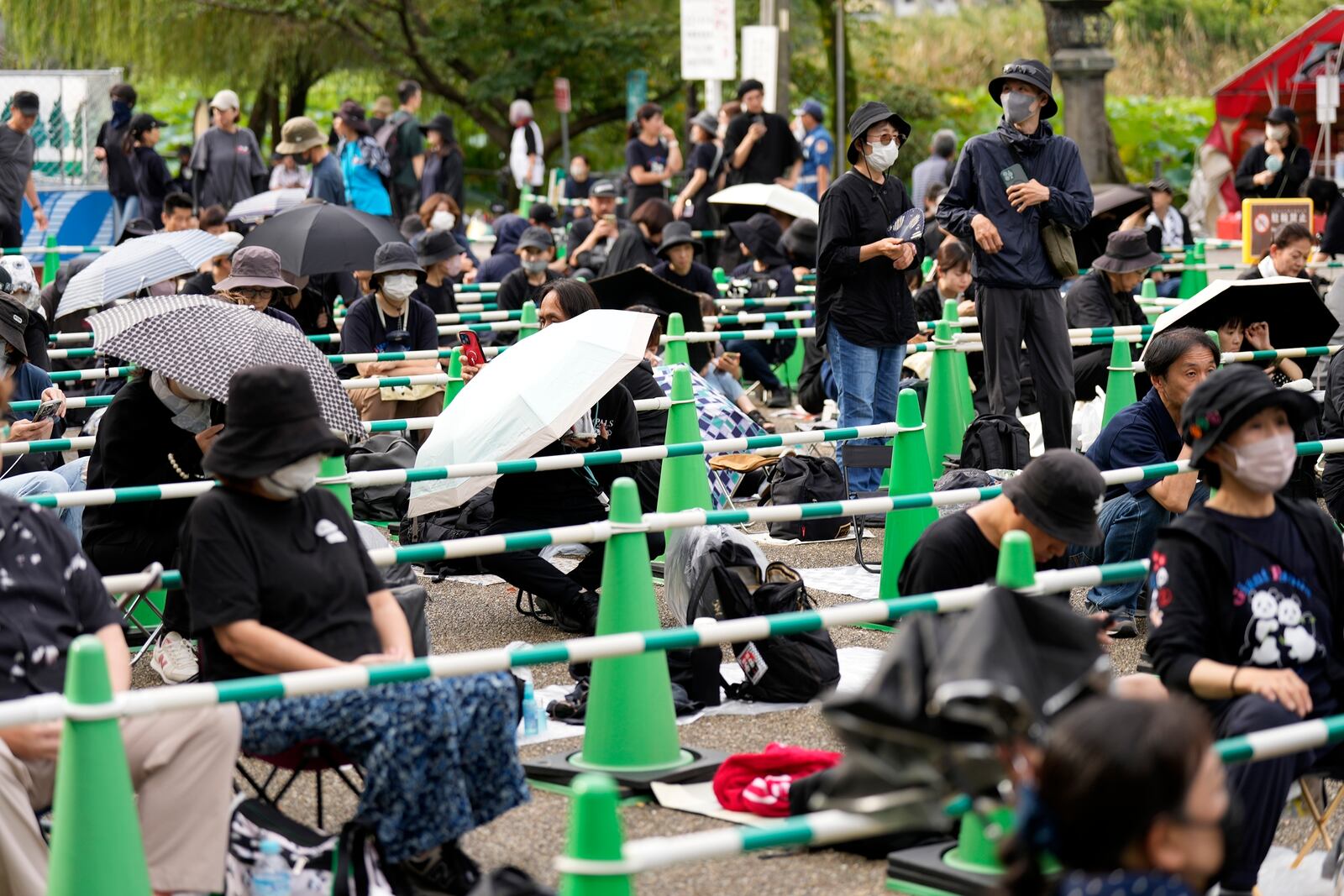 Visitors wait to see the giant pandas Ri Ri and Shin Shin at Ueno Zoo, a day before their return to China, Saturday, Sept. 28, 2024, in Tokyo. (AP Photo/Eugene Hoshiko)