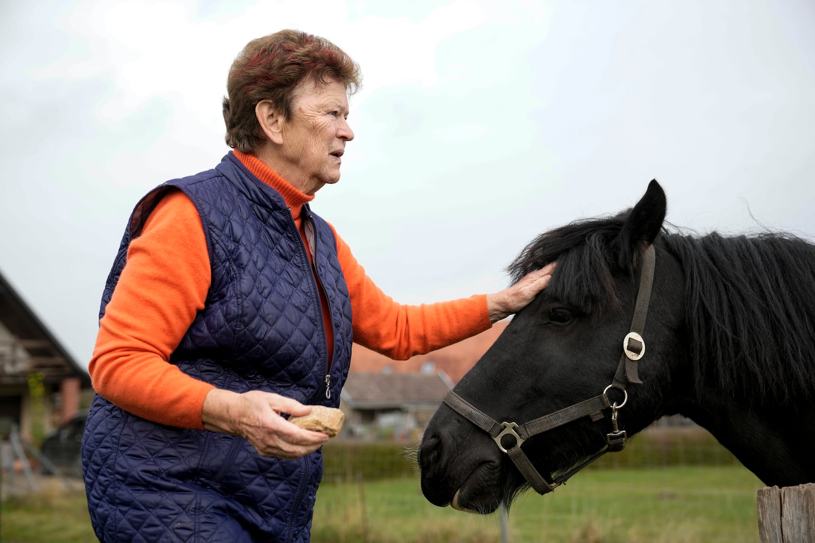 Solveig Leo, 81, former head of a large state-owned farm feeds her horse after the interview with the Associated Press in the northeastern village of Banzkow, Germany, Monday, Oct. 28, 2024. (AP Photo/Ebrahim Noroozi)