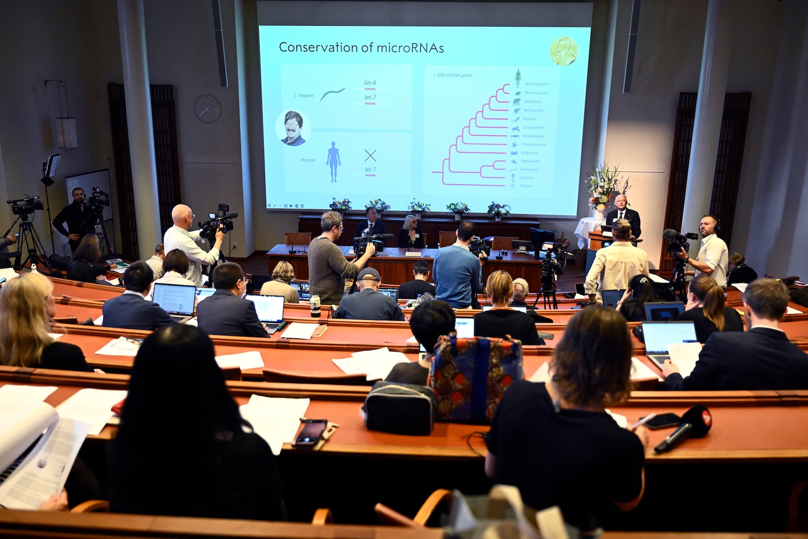 Olle Kämpe, right, professor of clinical endocrinology, explains the work of this year's Nobel Prize in Physiology or Medicine laureates Americans Victor Ambros, and Gary Ruvkun, pictured on the screen, during a press conference at the Karolinska Institute in Stockholm, Sweden, on Monday, Oct. 7, 2024. (Christine Olsson/TT News Agency via AP)