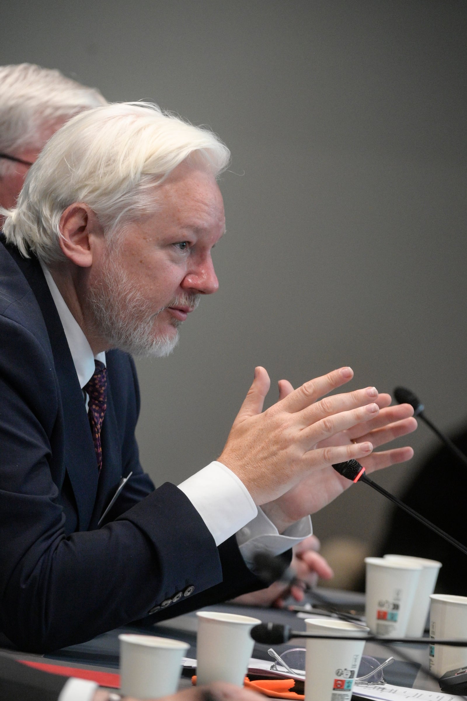 Wikileaks founder Julian Assange addresses the Council of Europe in Strasbourg, eastern France, Tuesday, Oct. 1, 2024. (AP Photo/Pascal Bastien)