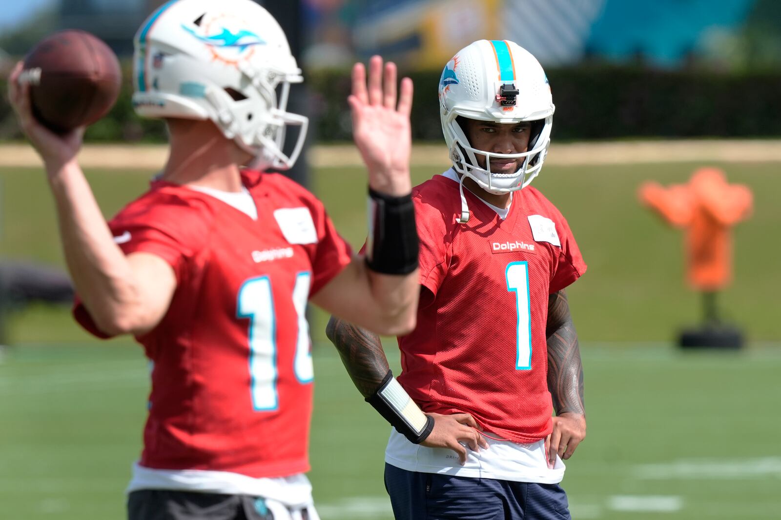 Miami Dolphins quarterback Tua Tagovailoa (1) watches Tim Boyle during a practice session at the team's training facility, Wednesday, Oct. 23, 2024, in Miami Gardens, Fla. (AP Photo/Marta Lavandier)