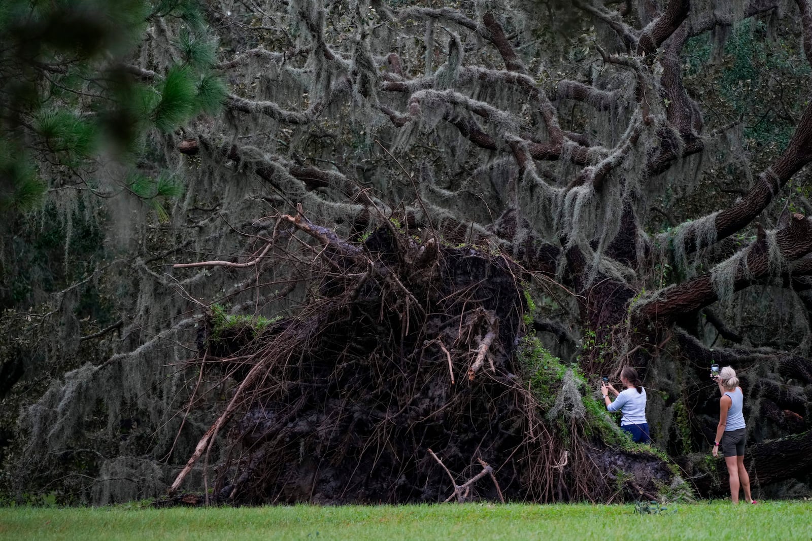 Women look at an uprooted tree the morning after Hurricane Milton hit the region, Thursday, Oct. 10, 2024, in Odessa, Fla. (AP Photo/Julio Cortez)