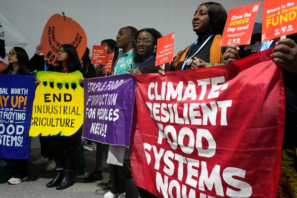 Activists participate in a demonstration for transforming food systems at the COP29 U.N. Climate Summit, Tuesday, Nov. 19, 2024, in Baku, Azerbaijan. (AP Photo/Rafiq Maqbool)