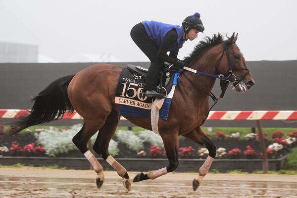 Preakness Stakes entrant Clever Again works out at Pimlico Race Course, Thursday, May 15, 2025, in Baltimore. (AP Photo/Stephanie Scarbrough)