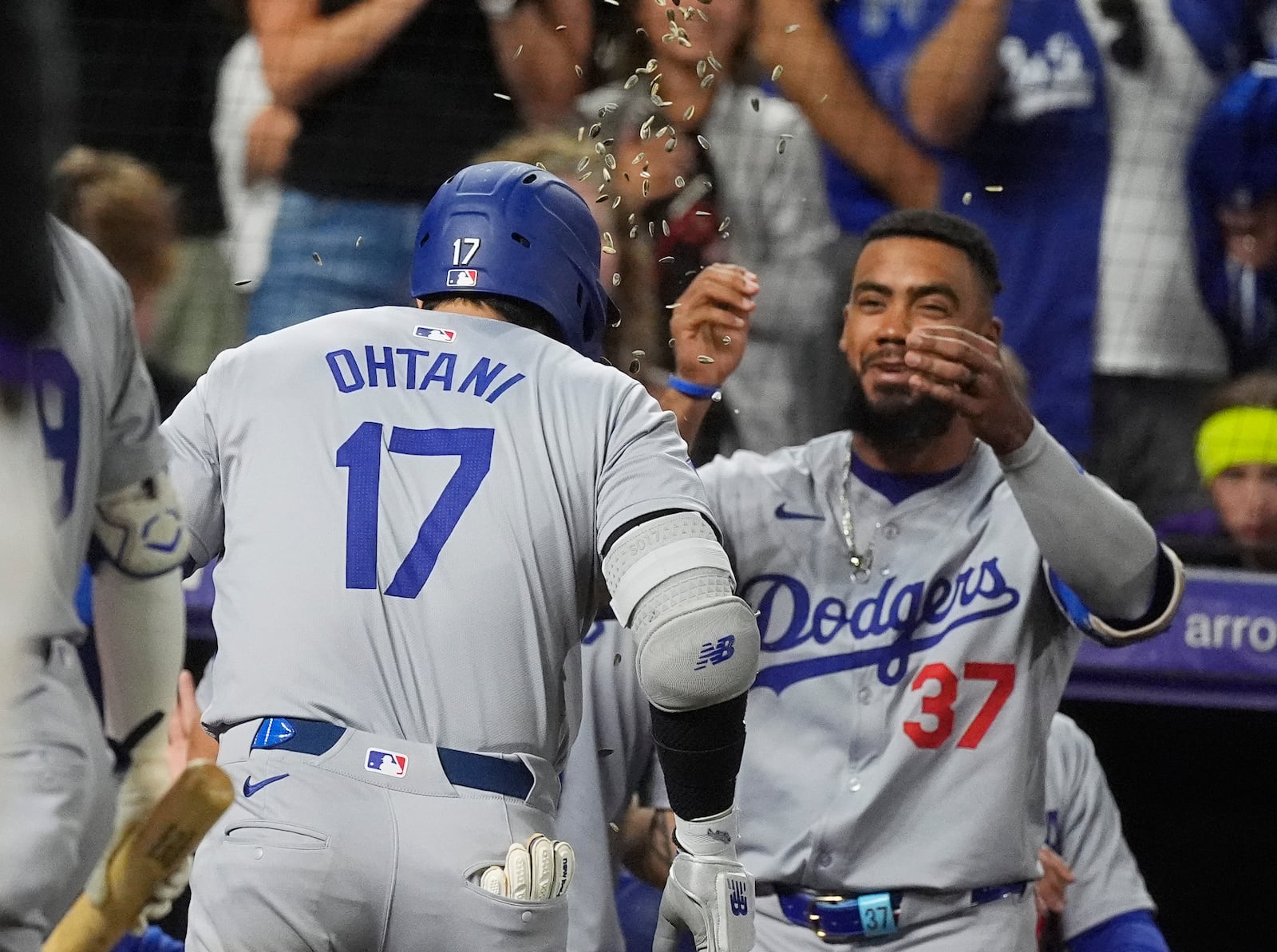 Los Angeles Dodgers' Teoscar Hernández (37) showers Shohei Ohtani (17) with sunflower seeds as Ohtani returns to the dugout after hitting a three-run home run off Colorado Rockies relief pitcher Anthony Molina in the sixth inning of a baseball game Friday, Sept. 27, 2024, in Denver. (AP Photo/David Zalubowski)