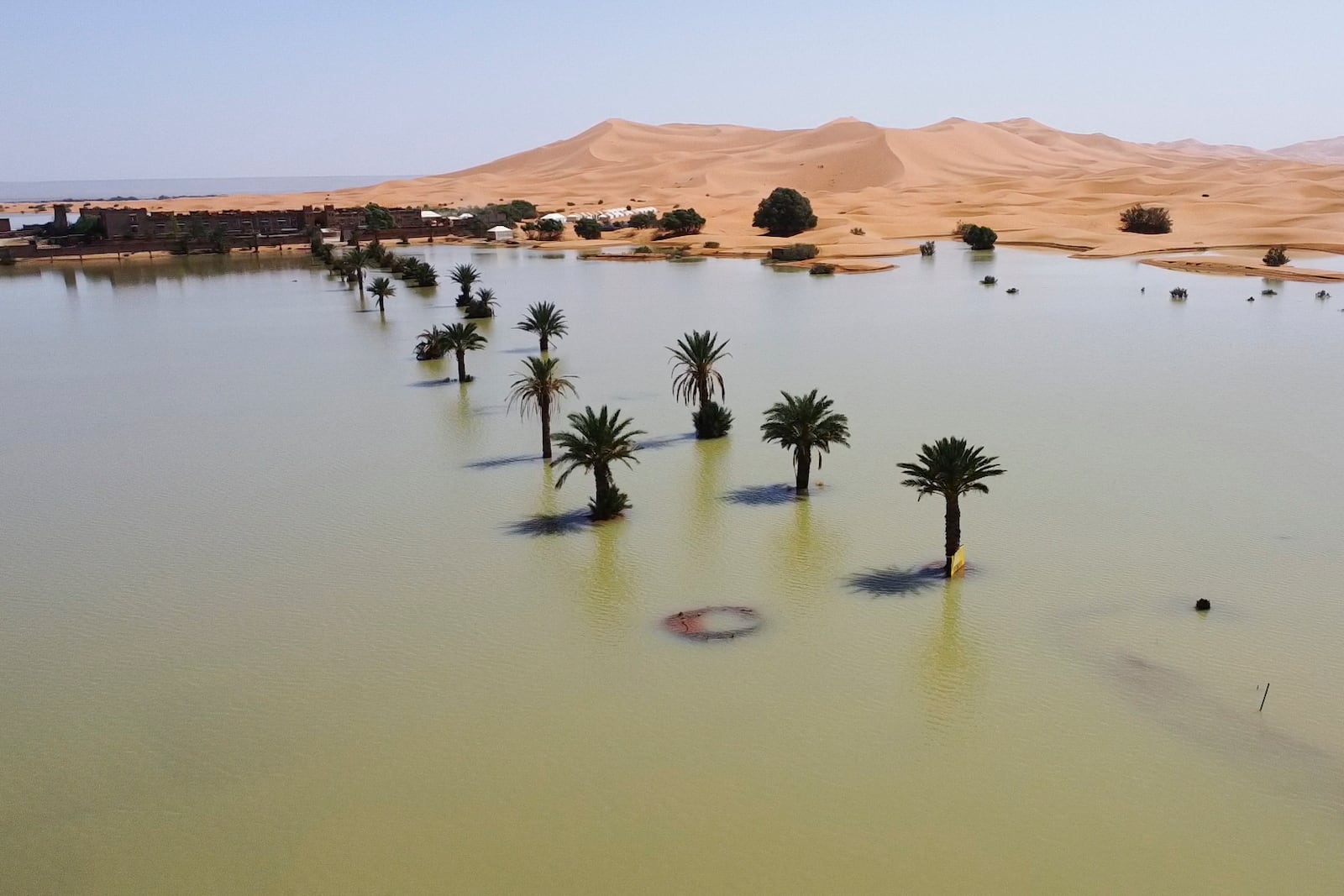 Palm trees are flooded in a lake caused by heavy rainfall in the desert town of Merzouga, near Rachidia, southeastern Morocco, Wednesday, Oct. 2, 2024. (AP Photo)