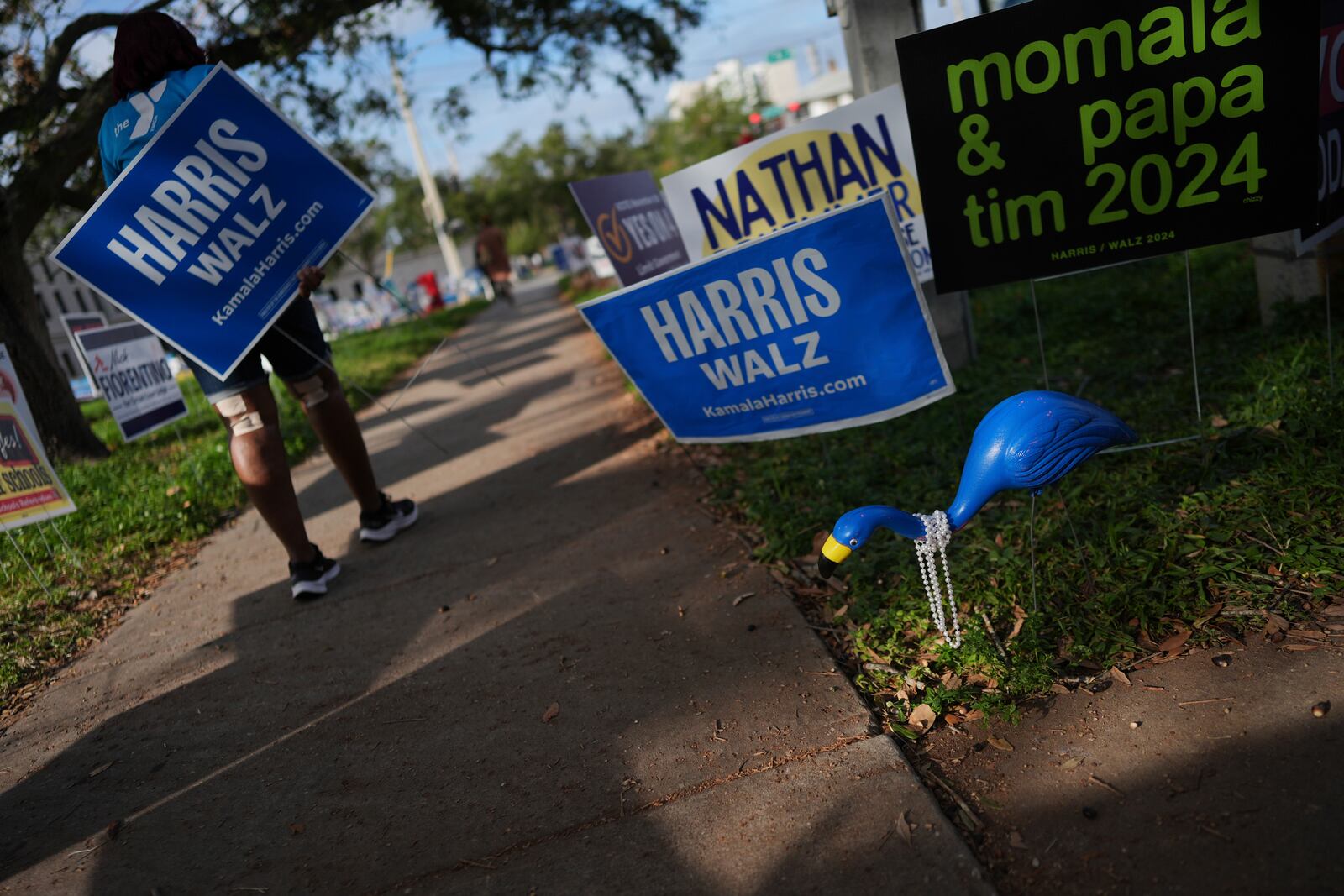 A blue flamingo wearing pearls to show support for Democratic presidential nominee Vice President Kamala Harris stands among election signs outside a polling place on Election Day, Tuesday, Nov. 5, 2024, in downtown St. Petersburg, Fla. (AP Photo/Rebecca Blackwell)