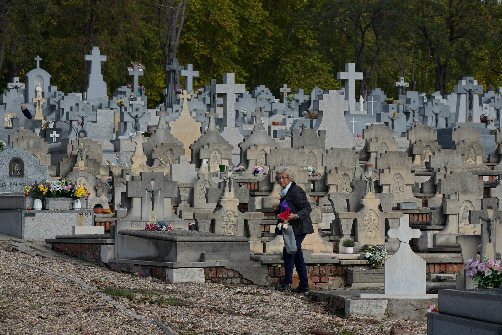 A woman walks between gravestones carrying flowers in the Almudena cemetery during All Saints Day, a Christian holiday to reflect on the saints and deceased relatives, Madrid, Spain, Friday, Nov. 1, 2024. (AP Photo/Paul White)