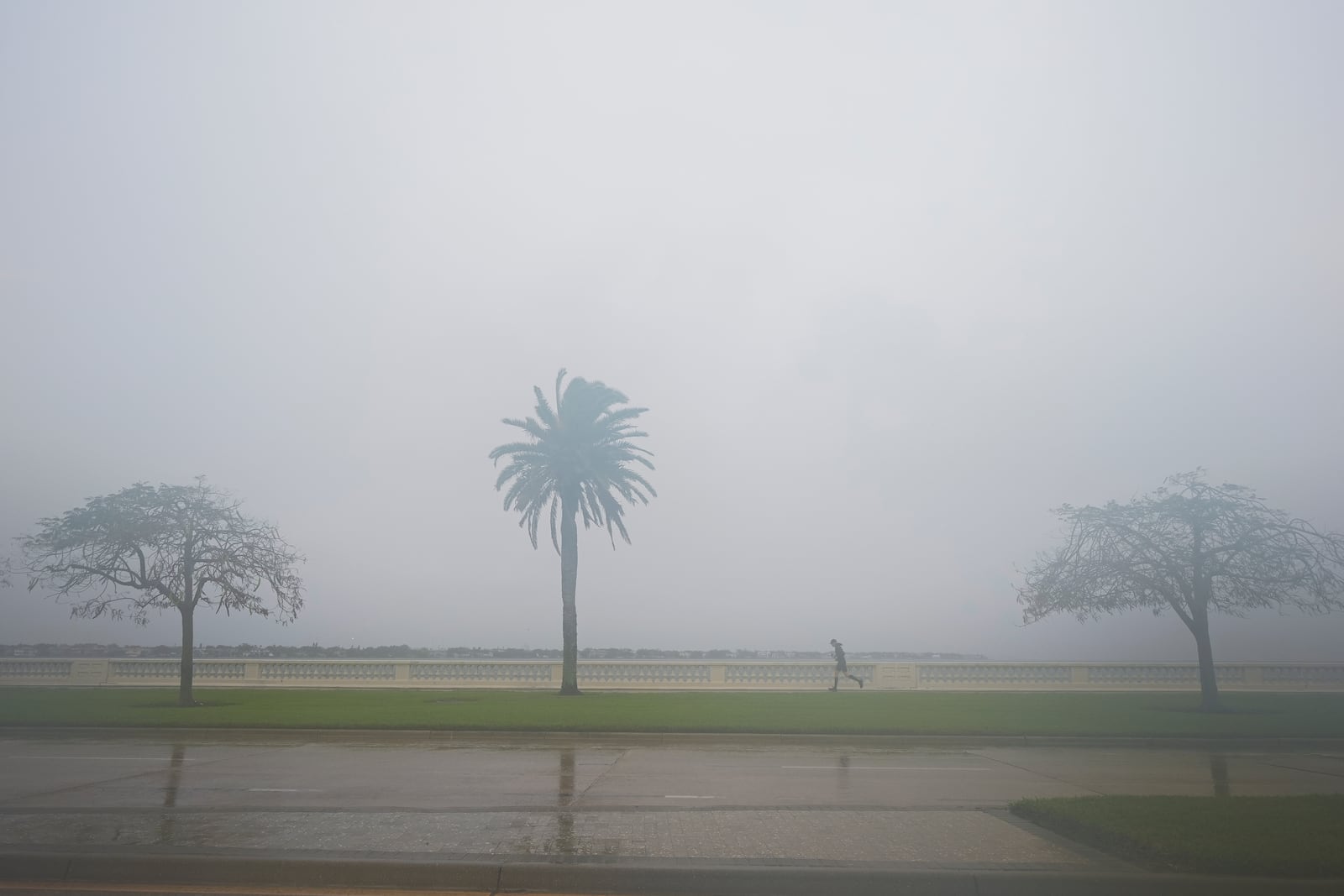 A jogger trots as rain falls ahead of the arrival of Hurricane Milton, Wednesday, Oct. 9, 2024, in Tampa, Fla. (AP Photo/Julio Cortez)