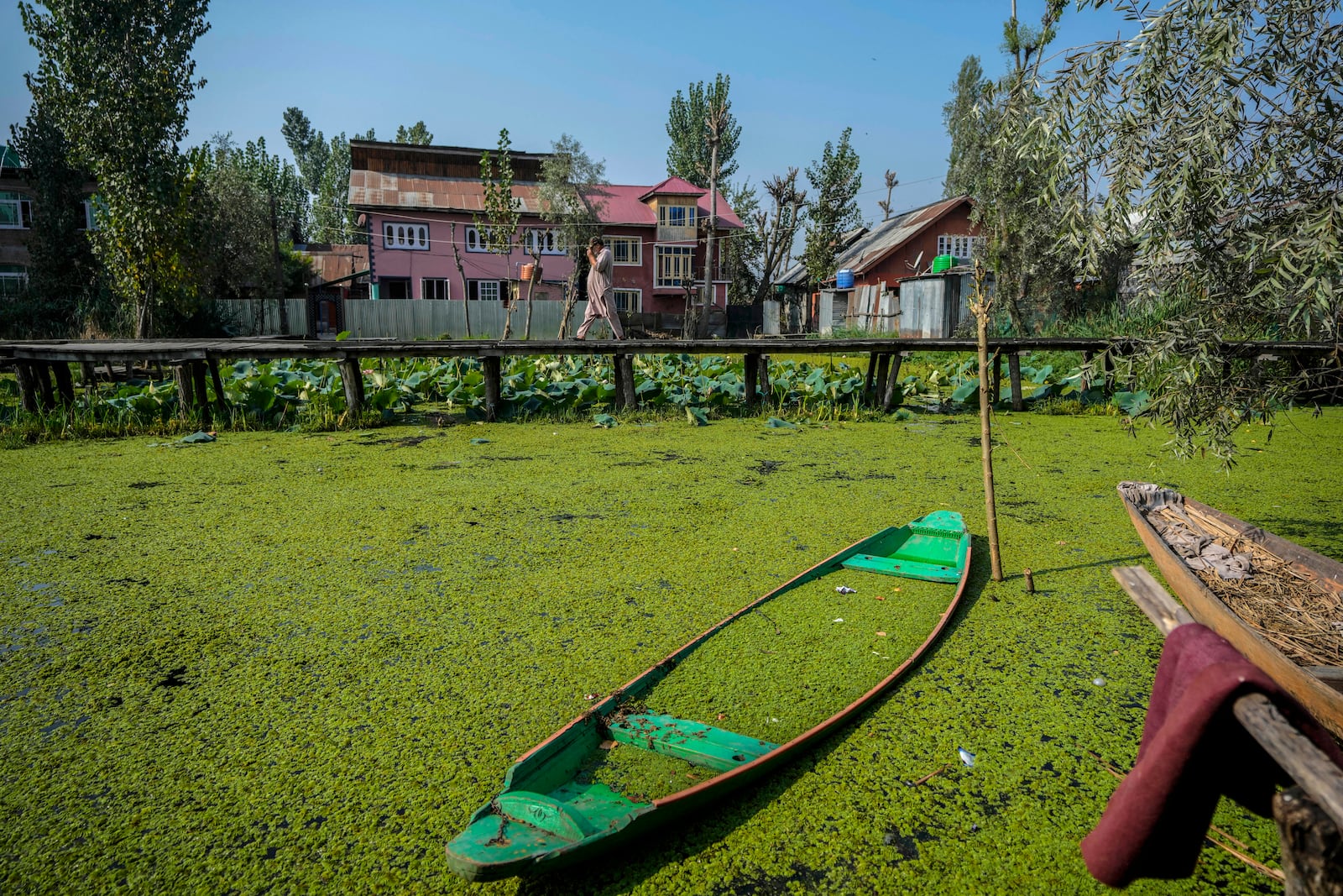 A voter walks on the wooden bridge outside the polling station during the second phase of the assembly election in the interior of Dal Lake in Srinagar, Indian controlled Kashmir, Wednesday, Sept. 25, 2024.(AP Photo/Mukhtar Khan)