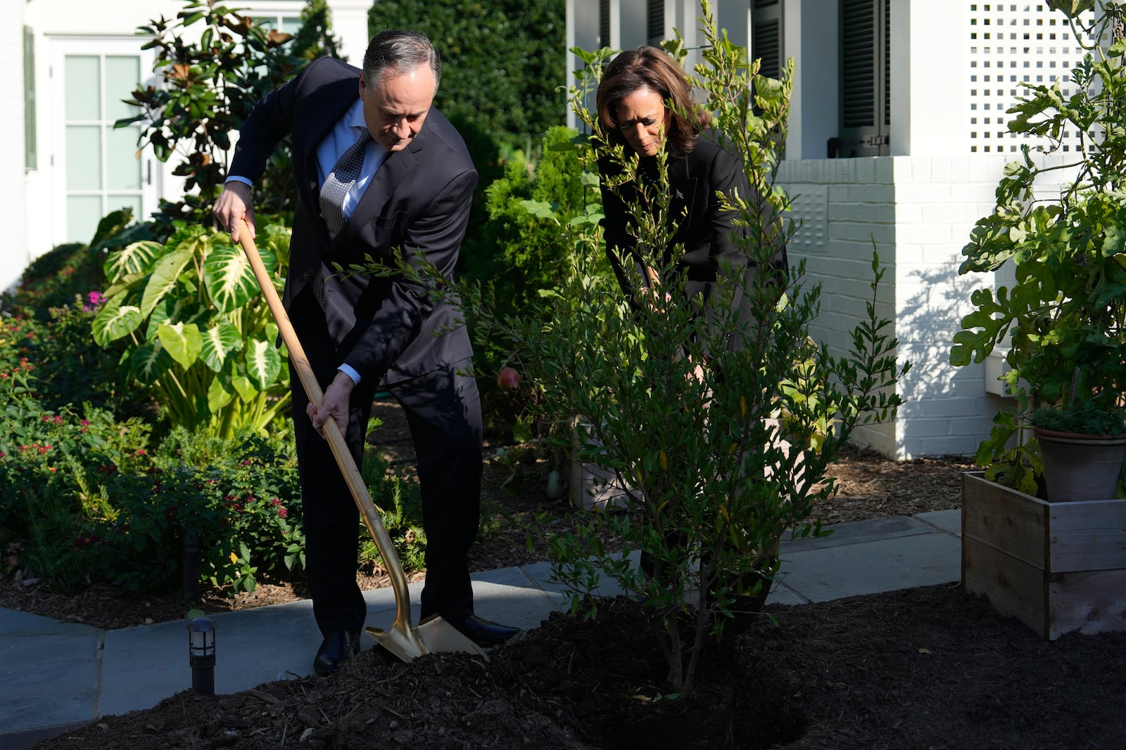 Democratic presidential nominee Vice President Kamala Harris, right, and second gentleman Doug Emhoff plant a memorial tree on the grounds of the Vice President's residence in Washington on Monday, Oct. 7, 2024, to honor the victims and mark one year since the Oct. 7, 2023, Hamas attack on Israel. (AP Photo/Ben Curtis)