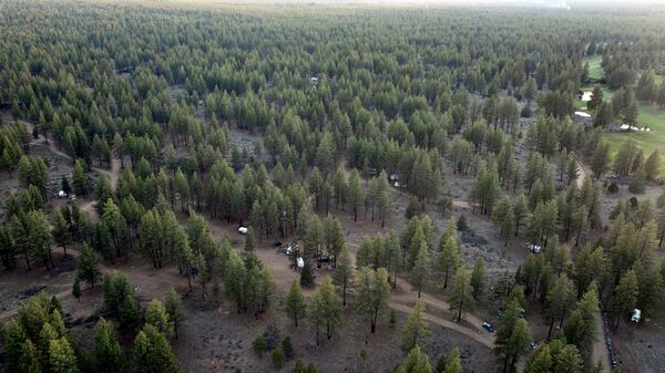 Trailers and RVs are seen at a homeless encampment in Deschutes National Forest, Wednesday, April 30, 2025, near Bend, Ore. (AP Photo/Jenny Kane)