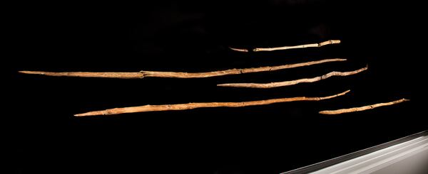 This 2014 photo provided by researchers shows a set of wooden hunting spears estimated to be about 200,000 years old discovered in a coal mine in the German town of Schöningen. (Volker Minkus/Niedersächsisches Landesamt für Denkmalpflege via AP)
