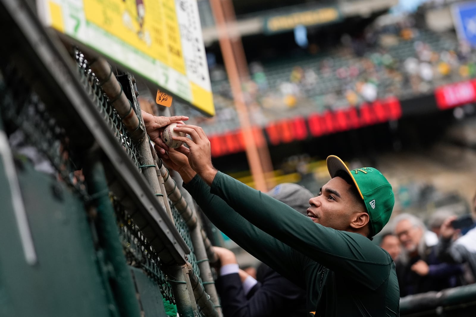 Oakland Athletics' Darell Hernaiz, right, sign autographs for fans before a baseball game against the Texas Rangers, Thursday, Sept. 26, 2024, in Oakland, Calif. (AP Photo/Godofredo A. Vásquez)