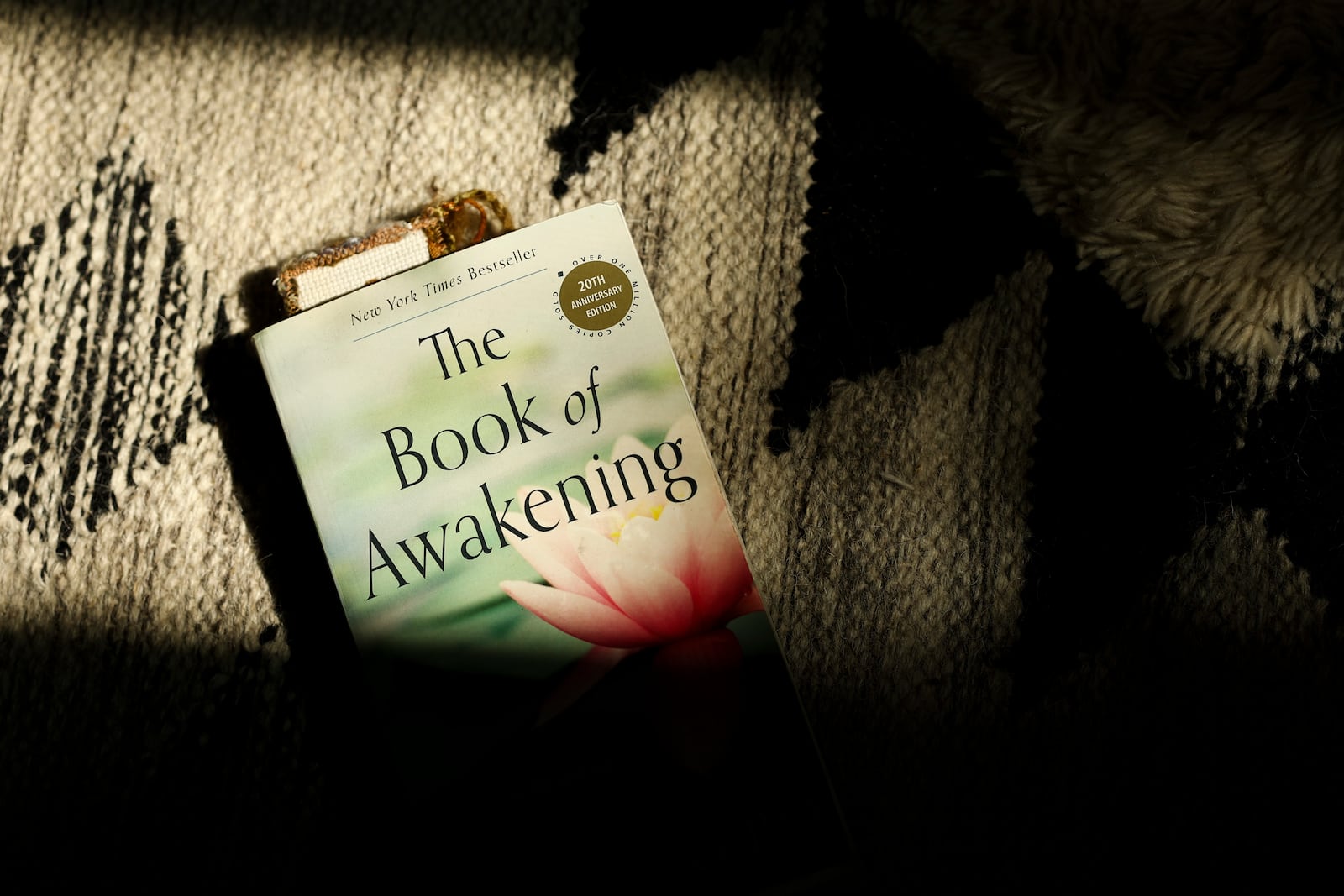 A detail view of a book is seen in the studio space of Headspace meditation teacher, Rosie Acosta Monday, Sept. 30, 2024, in Woodland Hills, Calif. (AP Photo/Jessie Alcheh)