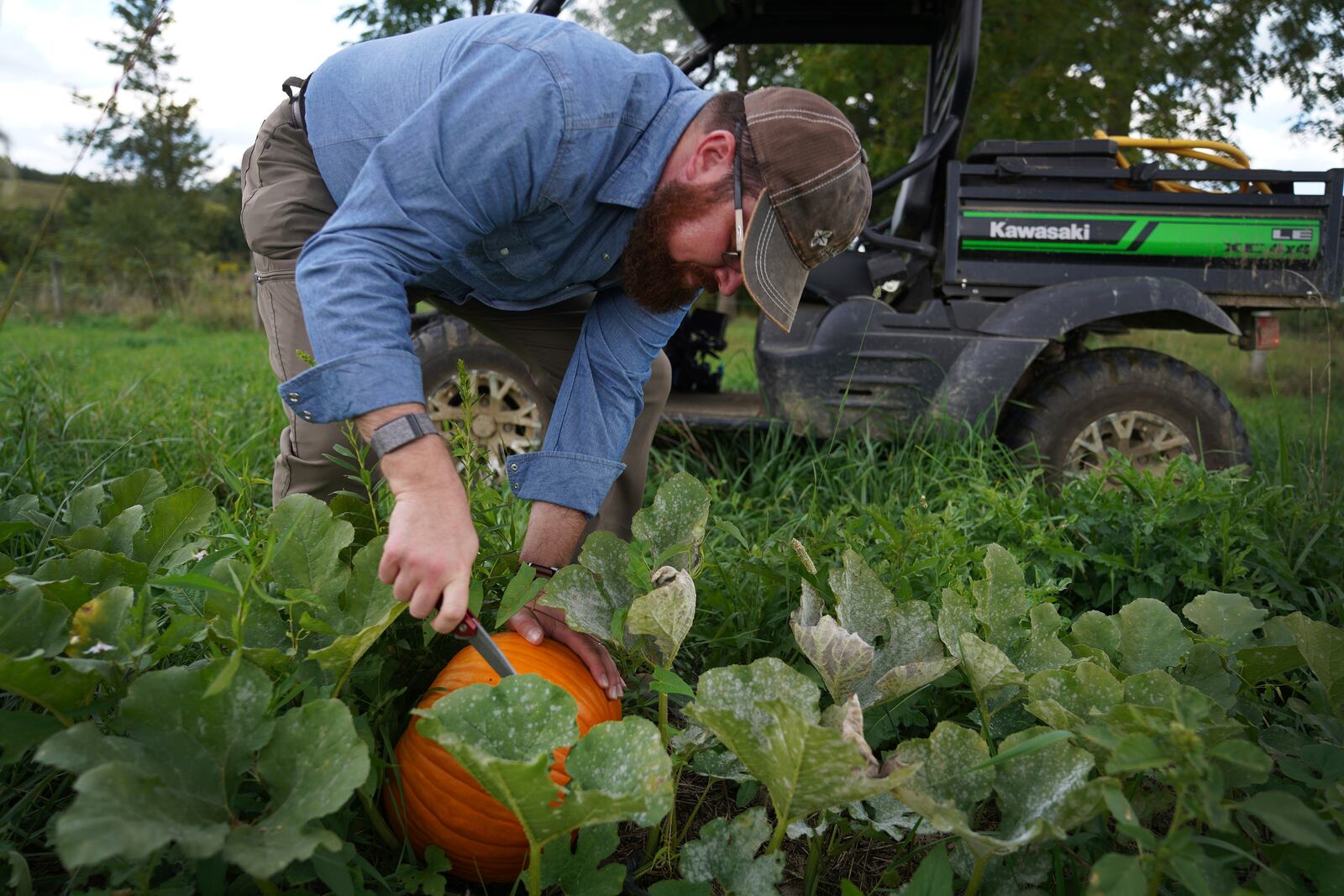 The Rev. Lee Scott, a longtime registered Republican who has recently endorsed Kamala Harris for president, harvests a pumpkin in the fields of his farm in Butler, Pa., on Friday, Sept. 6, 2024. (AP Photo/Jessie Wardarski)