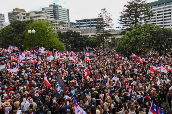 Thousands of people gather outside New Zealand's parliament to protest a proposed law that would redefine the country's founding agreement between Indigenous Māori and the British Crown, in Wellington Tuesday, Nov. 19, 2024. (AP Photo/Charlotte McLay-Graham)