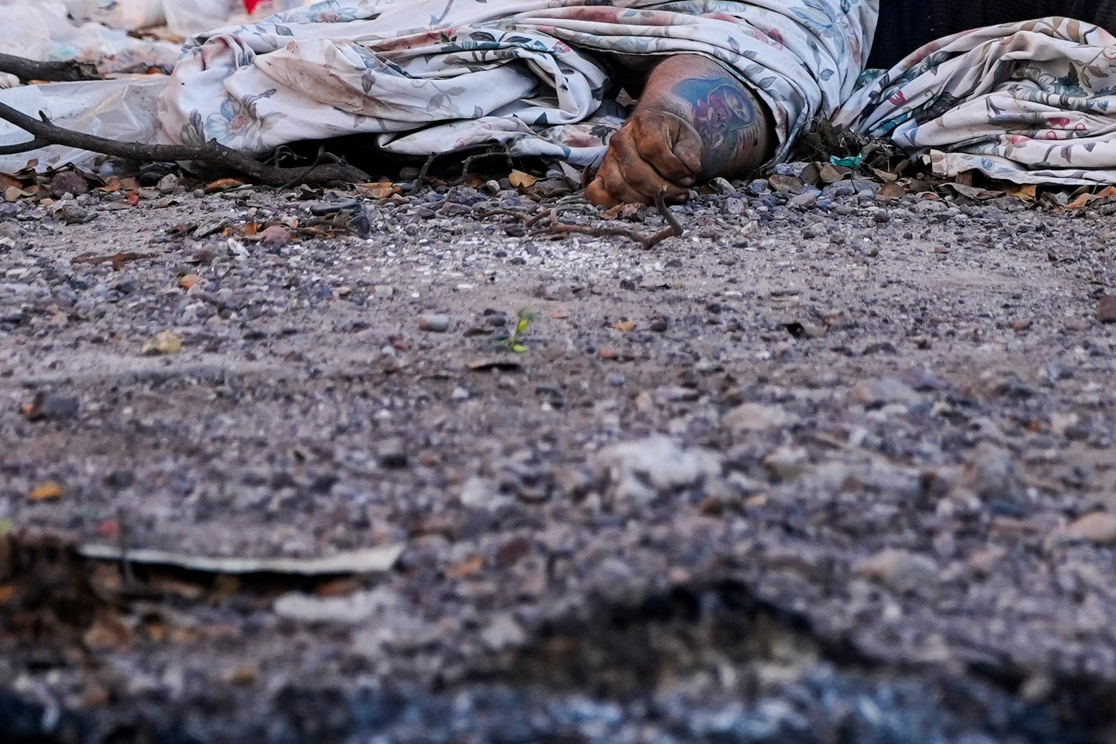 The body of man, his arm marked with a tattoo of the Virgin of Guadalupe, lies covered on a street in La Costerita neighborhood of Culiacan, Sinaloa state, Mexico, Thursday, Sept. 19, 2024. (AP Photo/Eduardo Verdugo)