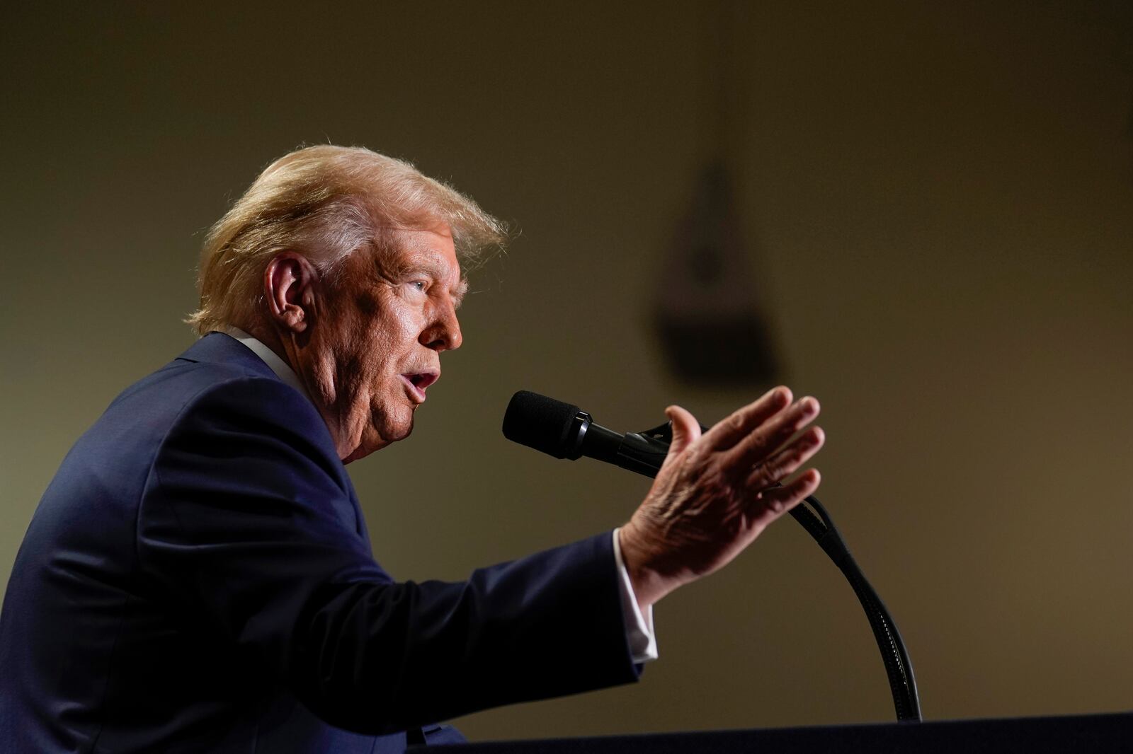 Republican presidential nominee former President Donald Trump speaks at a campaign event, Sunday, Sept. 29, 2024, in Erie, Pa. (AP Photo/Matt Rourke)