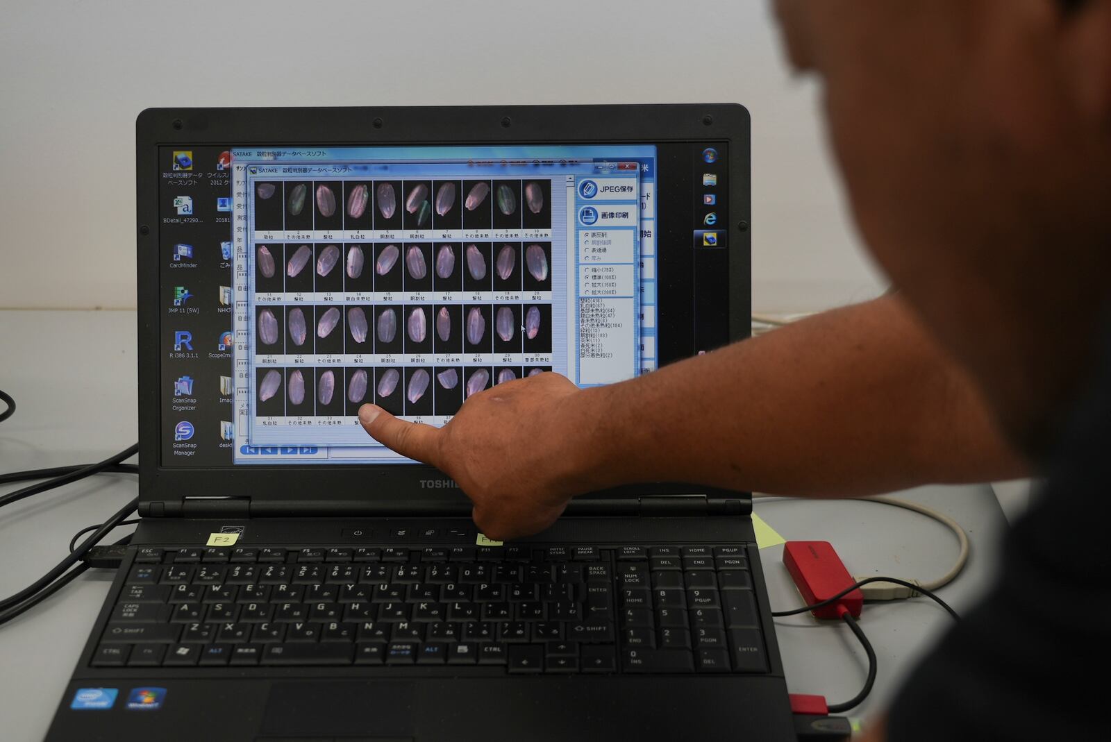 A laptop screen displays comparison photos of rice kernels from different rice varieties at Saitama's Agricultural Technology Research Centre in Kumagaya, Japan on Sept. 26, 2024. (AP Photo/Ayaka McGill)