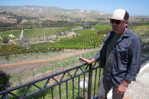 Andreas Tompros looks out at his avocado farm, Ridgecrest Avocados, in Somis, Calif., on Thursday, May 15, 2025. (AP Photo/Damian Dovarganes)