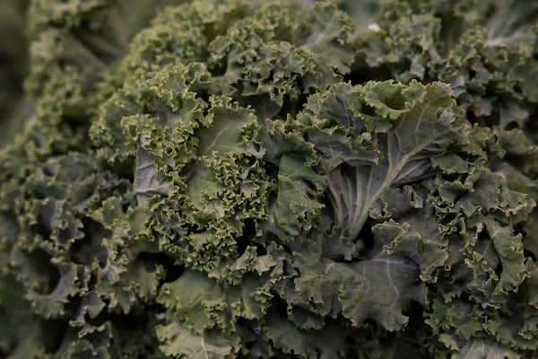 A bunch of kale is displayed at Growing Family Farms' vendor table at the Brighton Farmers Market on Sunday, March 23, 2025, in Brighton, N.Y. (Caitlyn Daproza via AP)
