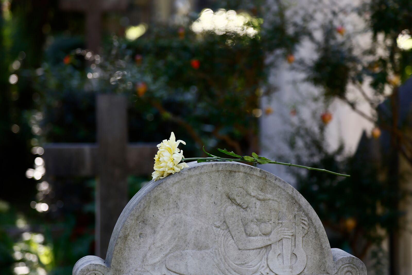 A chrysanthemum is placed on a tombstone during All Saints Day, in Rome, Friday, Nov. 1, 2024. (Cecilia Fabiano/LaPresse via AP)