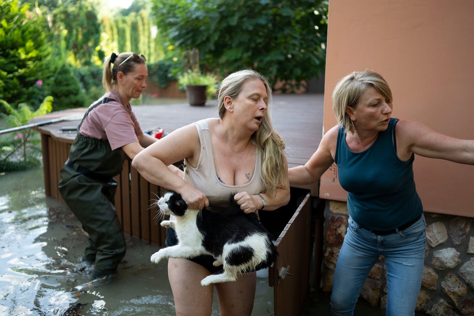 Women save a cat from floods in Szentendre, near Budapest, Hungary, as the Danube river flooded its banks on Thursday, Sept. 19, 2024. (AP Photo/Denes Erdos)