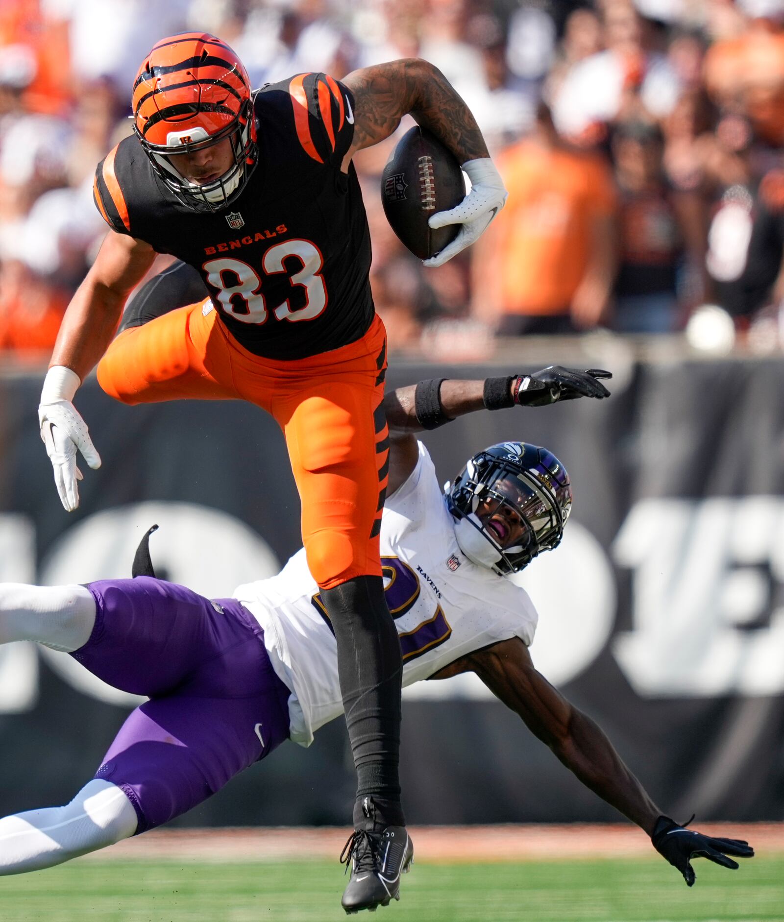 Cincinnati Bengals tight end Erick All Jr. (83) hurdles over Baltimore Ravens cornerback Brandon Stephens (21) during the second half of an NFL football game, Sunday, Oct. 6, 2024, in Cincinnati. (AP Photo/Carolyn Kaster)