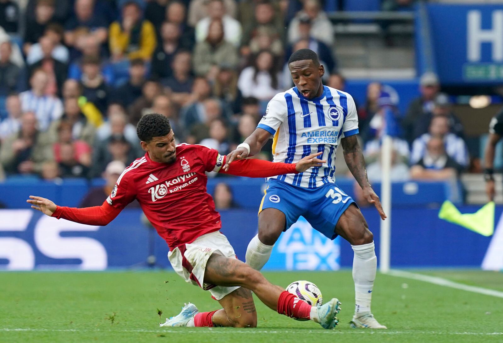 Nottingham Forest's Morgan Gibbs-White, left and Brighton and Hove Albion's Pervis Estupinan vie for the ball, during the English Premier League soccer match between Brighton and Nottingham Forest, at the American Express Stadium, in Brighton and Hove, England, Sunday, Sept. 22, 2024. (Gareth Fuller/PA via AP)