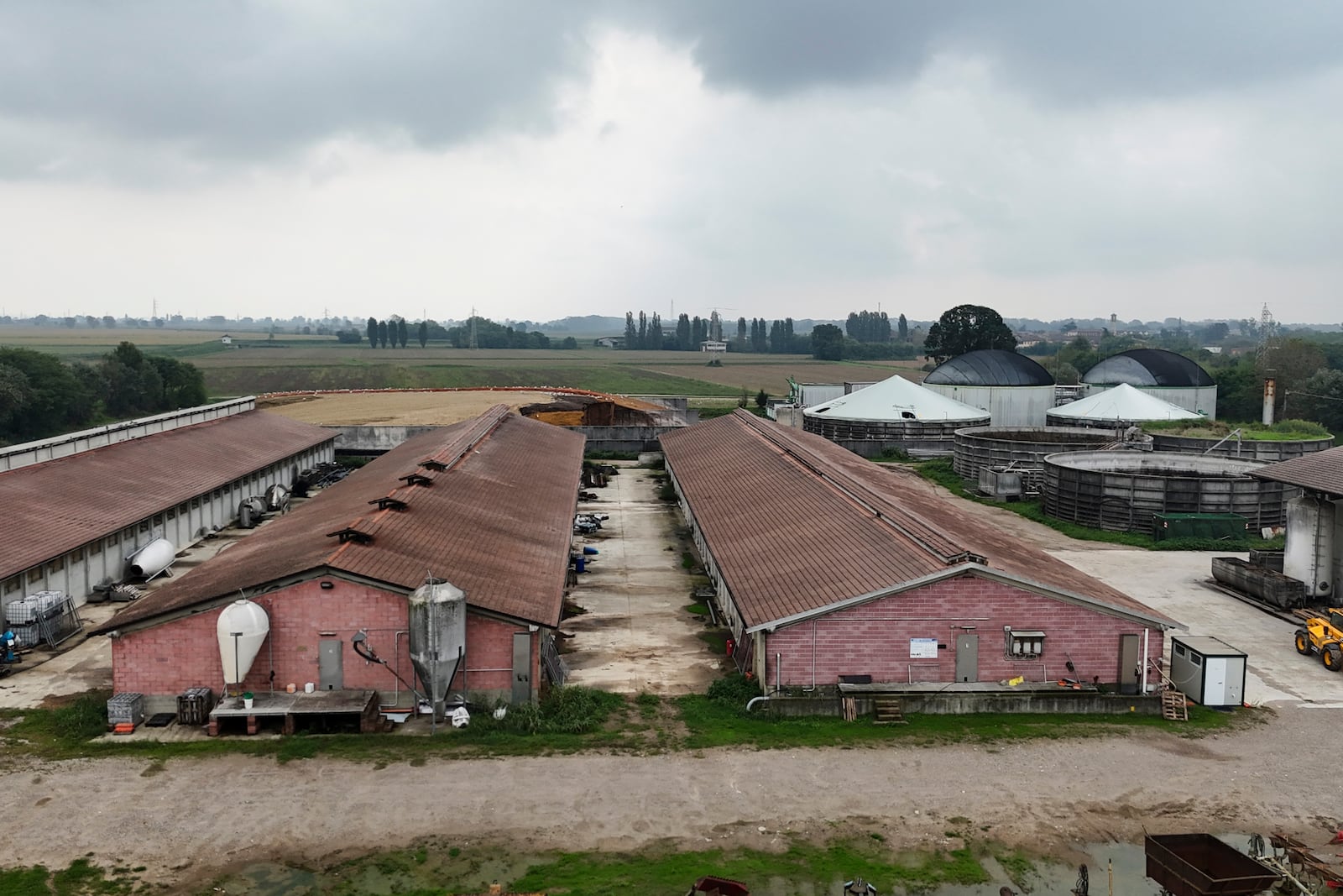 An overview of the empty shed at the Airoli & Sangalli farm in Corteolona, northern Italy, Wednesday, Sept. 25, 2024. (AP Photo/Luca Bruno)