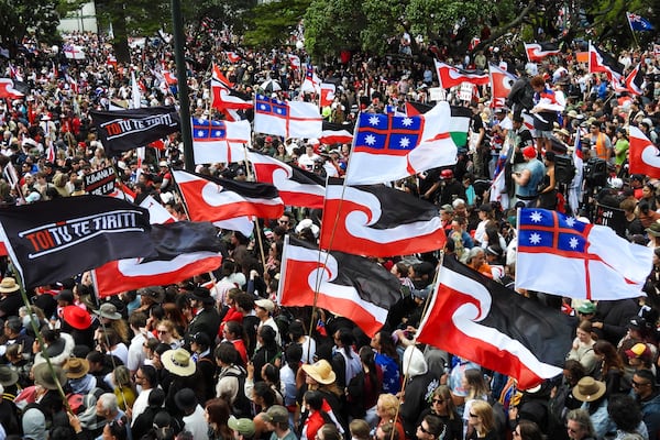 Thousands of people gather outside New Zealand's parliament to protest a proposed law that would redefine the country's founding agreement between Indigenous Māori and the British Crown, in Wellington Tuesday, Nov. 19, 2024. (AP Photo/Charlotte McLay-Graham)