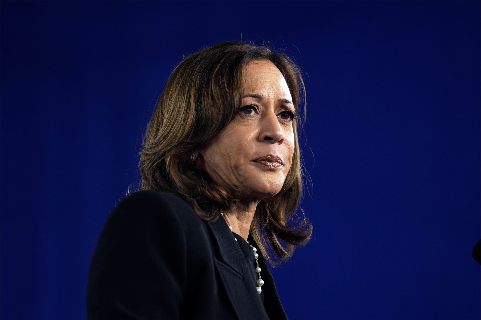 Democratic presidential nominee Vice President Kamala Harris speaks during a campaign event at the PA Farm Show Complex and Expo Center, Wednesday, Oct. 30, 2024, in Harrisburg, Pa. (AP Photo/Matt Rourke)