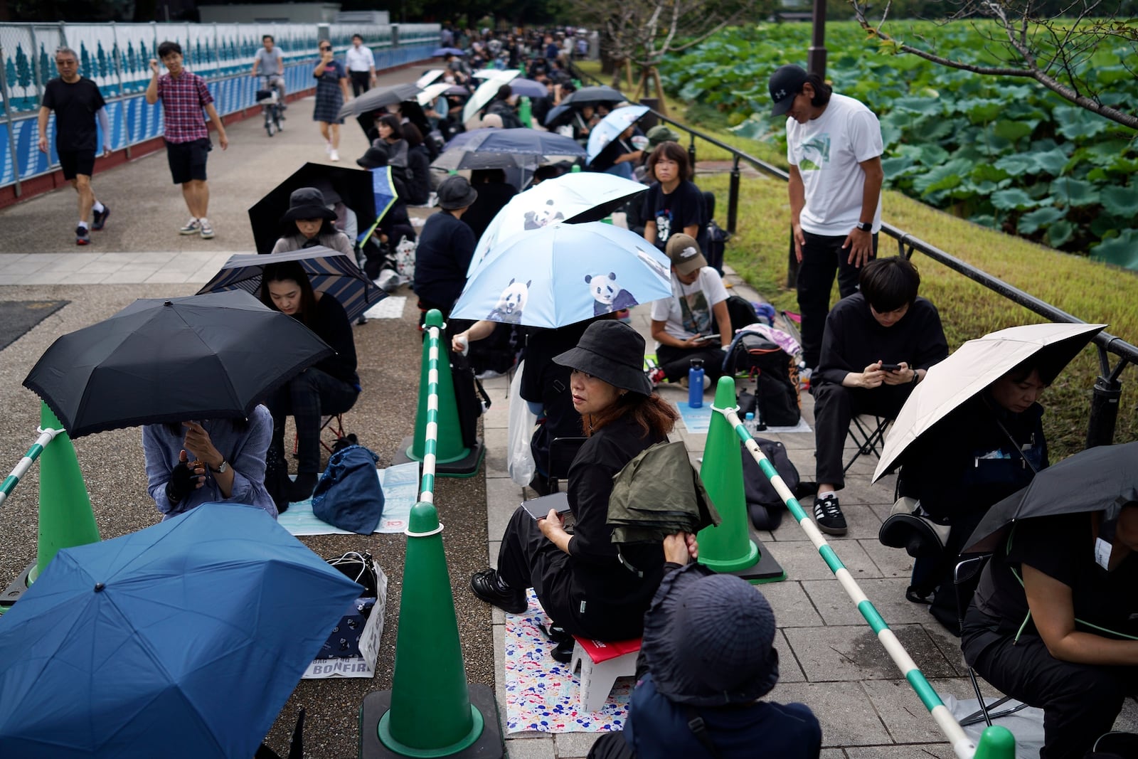 Visitors wait to see the giant pandas Ri Ri and Shin Shin at Ueno Zoo, a day before their return to China, Saturday, Sept. 28, 2024, in Tokyo. (AP Photo/Eugene Hoshiko)