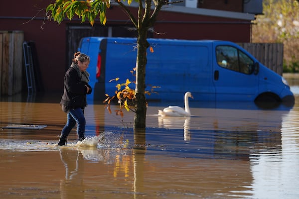 A woman walks through floodwater with a swan swimming next to her, at the Billing Aquadrome in Northamptonshire, England, Monday Nov. 25, 2024, after Storm Bert caused "devastating" flooding over the weekend. (Jordan Pettitt/PA via AP)