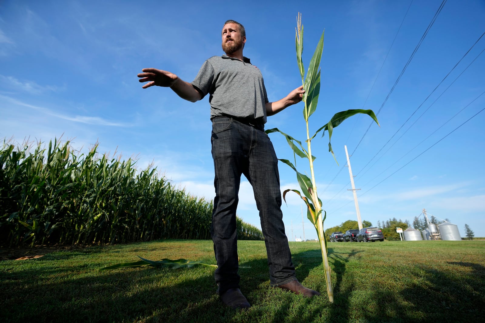 Cameron Sorgenfrey holds a short corn stalk next to one of his fields, Monday, Sept. 16, 2024, in Wyoming, Iowa. (AP Photo/Charlie Neibergall)