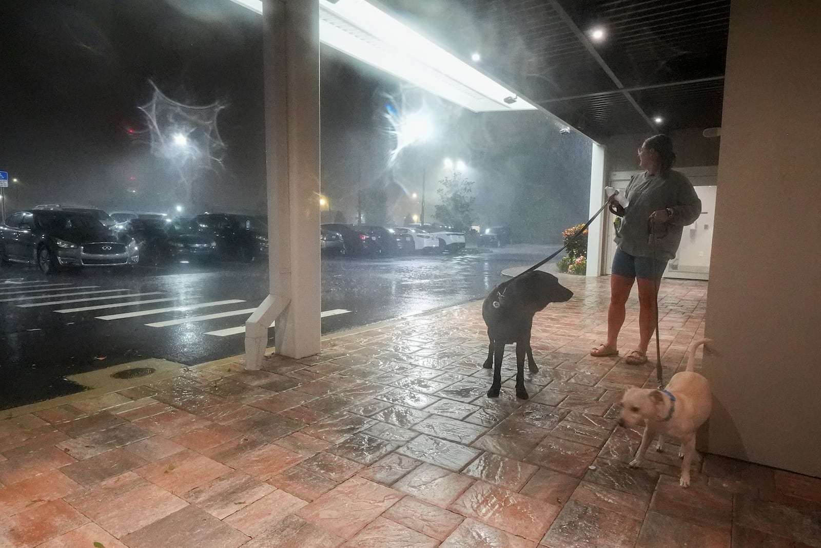 Amy Sapanara, of Pinellas, Fla., walks with her dogs, Frankie and Dudley, near the hotel where she's taking shelter during Hurricane Milton, Wednesday, Oct. 9, 2024, in Tampa, Fla. (AP Photo/Julio Cortez)