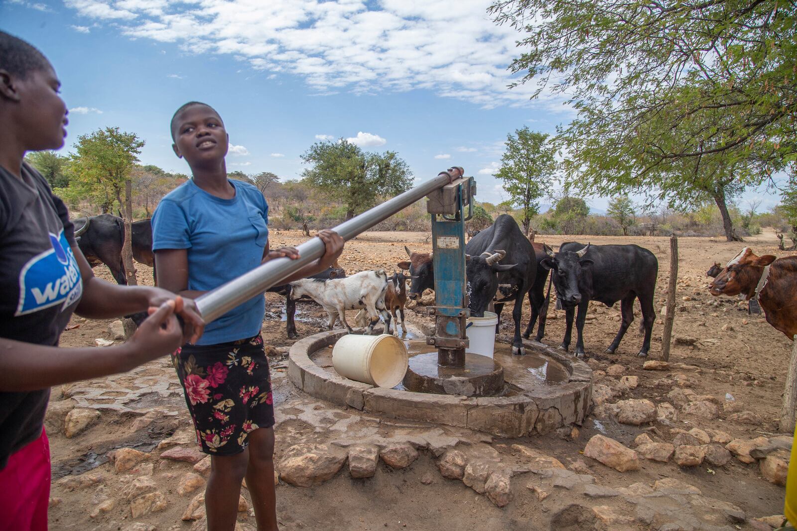 File — Villagers pump water at a borehole in Mudzi, Zimbabwe, Tuesday, July 2, 2024.as the United Nations' food agency says months of drought in southern Africa, triggered by the El Nino weather phenomenon, has had a devastating impact on more than 27 million people and caused the region's worst hunger crisis in decades. (AP Photo/Aaron Ufumeli/File)